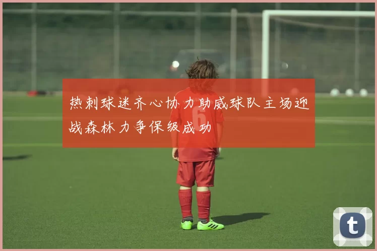 热刺球迷齐心协力助威球队主场迎战森林力争保级成功